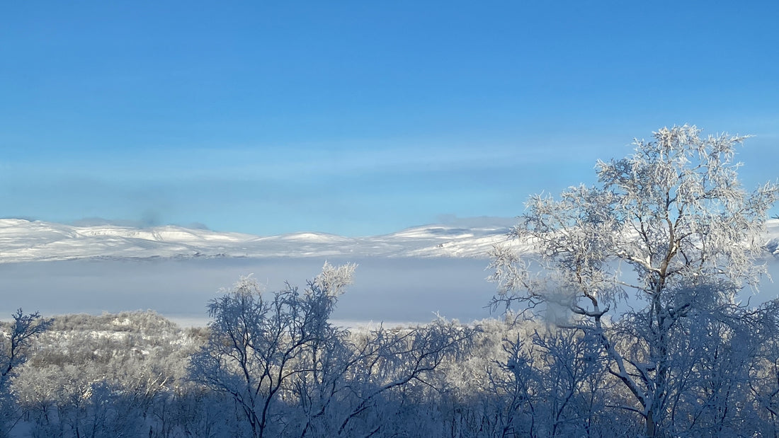 Abisko: Winterwunderland und Abenteuer pur, Teil 1